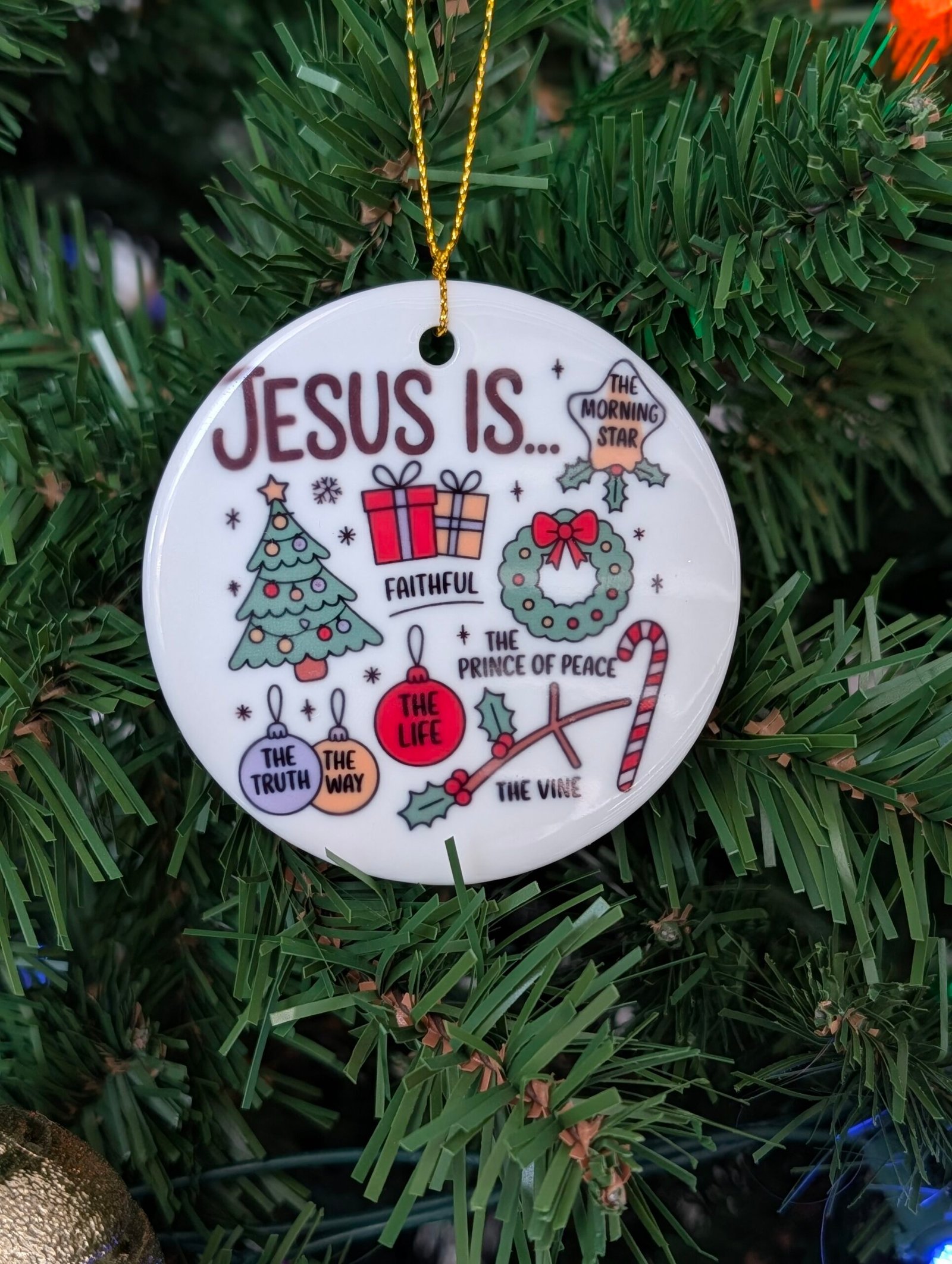 pxl 20251126 195544166.portrait pxl 20251126 195544166.portrait